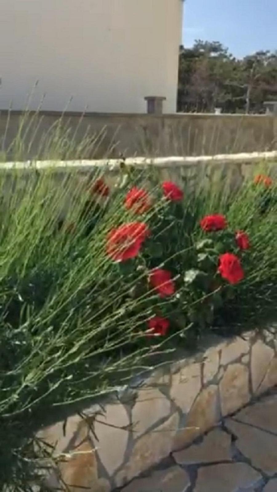 Miro Apartmani Ražanac Buitenkant foto