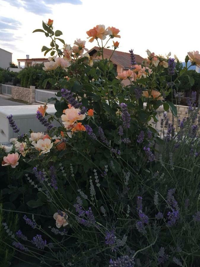 Miro Apartmani Ražanac Buitenkant foto