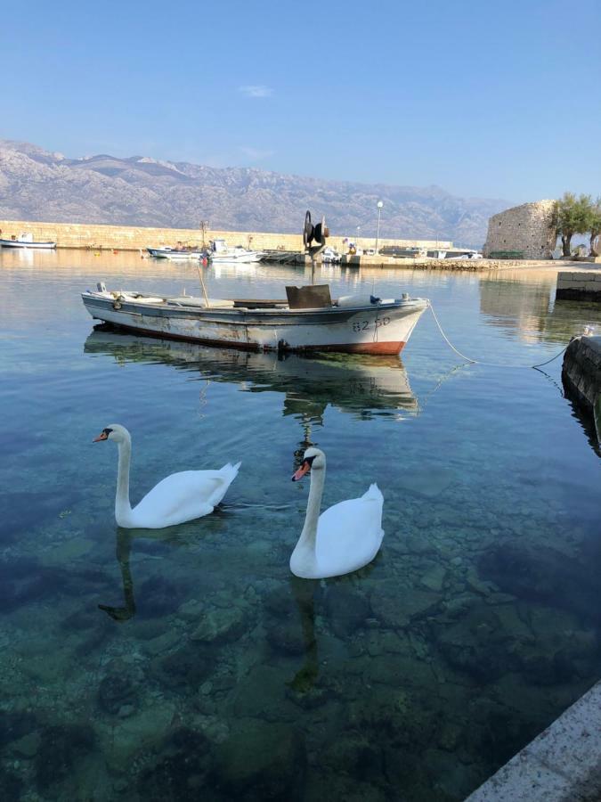 Miro Apartmani Ražanac Buitenkant foto